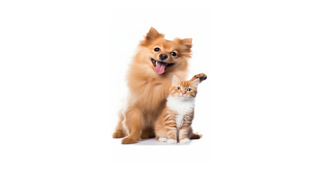 PETS